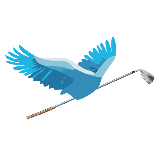 Flight of the Wedges